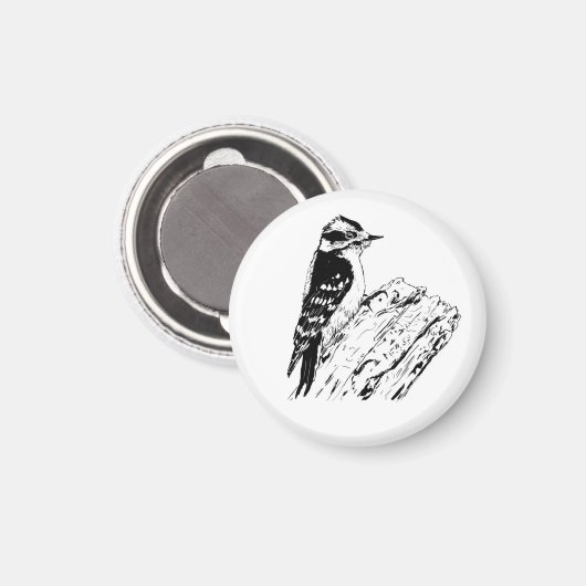 Specht Magneet (Voorkant / Achterkant)