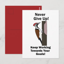 Specht Nooit Opgeven Inspirerend Briefkaart