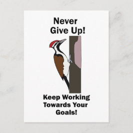 Specht Nooit Opgeven Inspirerend Briefkaart