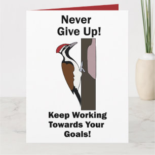 Specht Nooit Opgeven Inspirerend Kaart