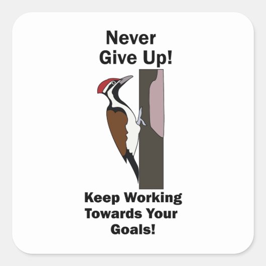 Specht Nooit Opgeven Inspirerend Vierkante Sticker (Voorkant)