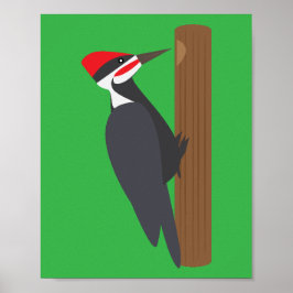 Specht Poster
