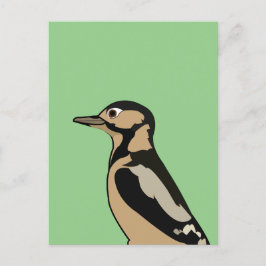 Specht Vogel Natuur Kunst Briefkaart