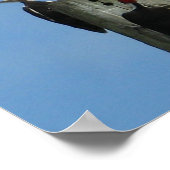 Specht vogels tegen blauwe lucht Foto Poster (Hoek)