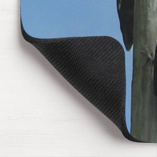 spechten vogel mousepad muismat (Hoek)