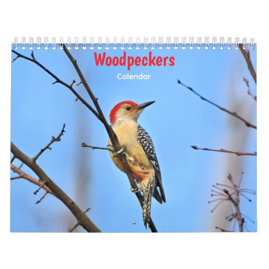 Spechtenkalender Kalender (Hoes)