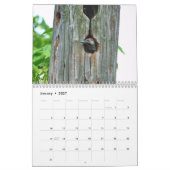 Spechtenkalender Kalender (Jan 2027)