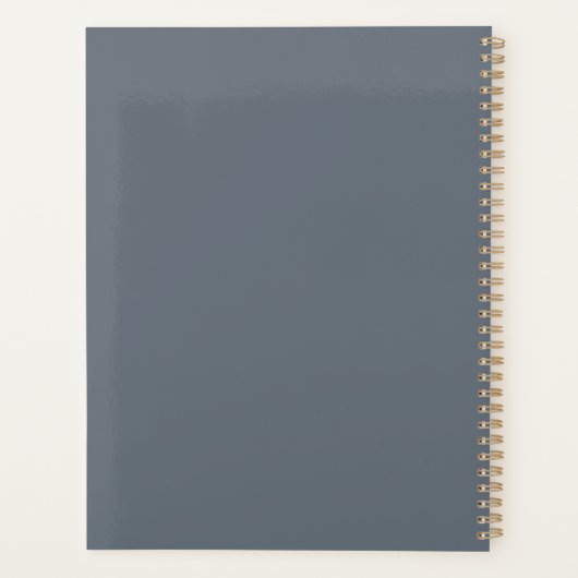 Speciaal accountant Funny Geweldige accountant Planner (Achterkant)