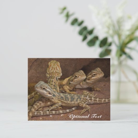 Speciaal Baby gebogen dragon Lizard Briefkaart (Staand voorkant)