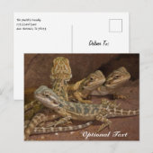Speciaal Baby gebogen dragon Lizard Briefkaart (Voorkant / Achterkant)