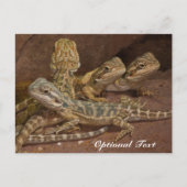 Speciaal Baby gebogen dragon Lizard Briefkaart (Voorkant)