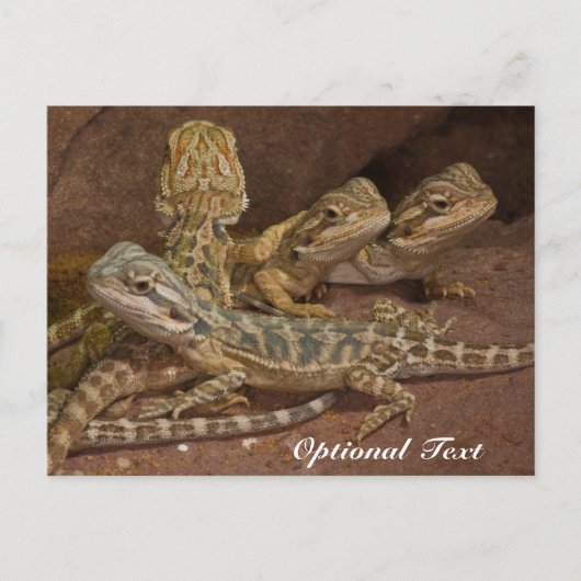 Speciaal Baby gebogen dragon Lizard Briefkaart (Voorkant)