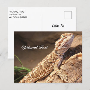 Speciaal Baby gebogen dragon Lizard Briefkaart