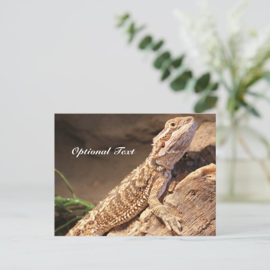 Speciaal Baby gebogen dragon Lizard Briefkaart (Staand voorkant)