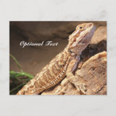 Speciaal Baby gebogen dragon Lizard Briefkaart (Voorkant)
