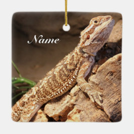 Speciaal Baby gebogen dragon Lizard Keramisch Ornament