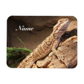 Speciaal Baby gebogen dragon Lizard Magneet (Horizontaal)