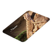 Speciaal Baby gebogen dragon Lizard Magneet (Linkerzijde)