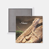 Speciaal Baby gebogen dragon Lizard Magneet (Voorkant / Achterkant)