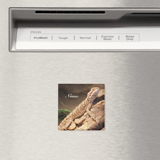 Speciaal Baby gebogen dragon Lizard Magneet (Insitu (Vaatwasser))