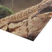 Speciaal Baby gebogen dragon Lizard Snijplank (Hoek)