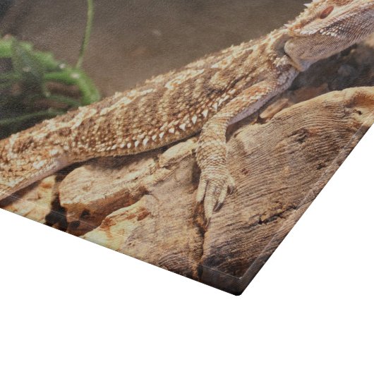 Speciaal Baby gebogen dragon Lizard Snijplank (Hoek)