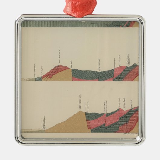 Speciaal blad Aspen Metalen Ornament (Voorkant)