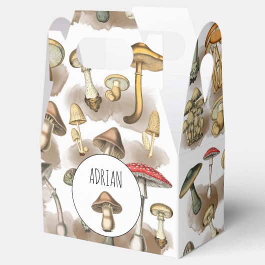 Speciaal  bos paddenstoelen bedankdoosjes (Geopend)