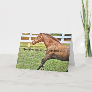 SPECIAAL CONNEMARA-Wenskaart Bedankkaart