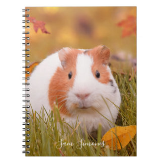 Speciaal / Cute Guinea Pig. & Autumn Leaves Notitieboek