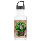 Speciaal Cute Kitten in Catnip Pot Waterfles (Voorkant)