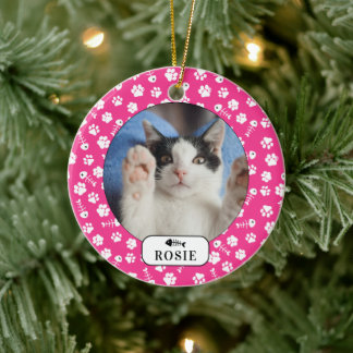 Speciaal gekat visbont en foto's van pet keramisch ornament