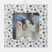 Speciaal gekatte visbont en foto's van pet glas ornament (Voorkant)