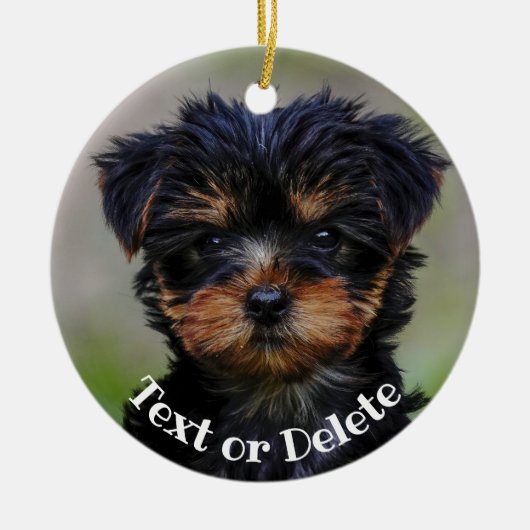 Speciaal gepersonaliseerde Cute Yorkie Puppy Keramisch Ornament (Voorkant)