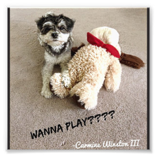 Speciaal gepersonaliseerde foto van mijn 6x6 foto afdruk