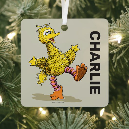 Speciaal gepersonaliseerde Retro Art Big Bird Metalen Ornament (Insitu)