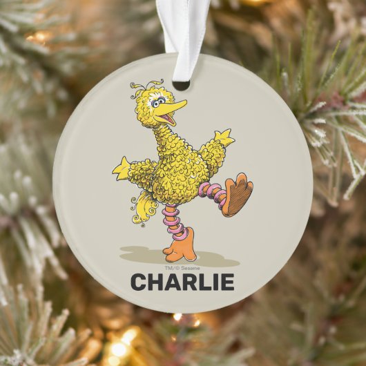 Speciaal gepersonaliseerde Retro Art Big Bird Ornament (Boom)