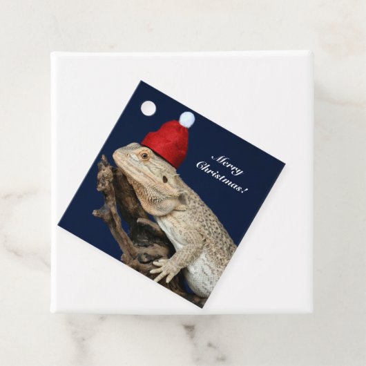 Speciaal getrokken drakenhagedis - Santa Hat Bedankjes Labels (In situ)