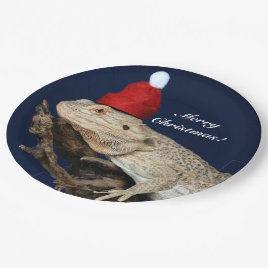 Speciaal getrokken drakenhagedis - Santa Hat Papieren Bordje (Gekanteld)