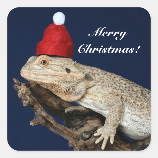 Speciaal getrokken drakenhagedis - Santa Hat Vierkante Sticker (Voorkant)