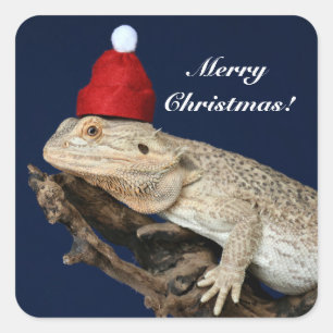 Speciaal getrokken drakenhagedis - Santa Hat Vierkante Sticker
