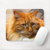 Speciaal Kat Nemo Mousepad Muismat (Met muis)