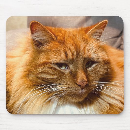 Speciaal Kat Nemo Mousepad Muismat (Voorkant)