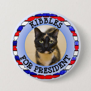 Speciaal kat voor de Button van Presidenten