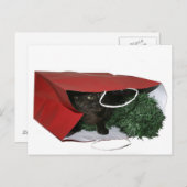 Speciaal kerstcadeau feestdagenkaart (Voorkant / Achterkant)