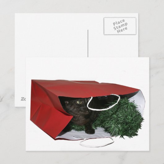 Speciaal kerstcadeau feestdagenkaart (Voorkant / Achterkant)