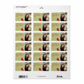 Speciaal kerstdinaal label voor gevelmailing (Full Sheet)