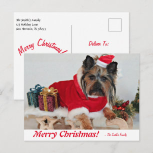 Speciaal kerstfeest voor Merry Yorkie Terrier Post Briefkaart