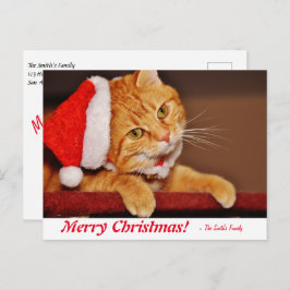 Speciaal kerstfeestmaal Oranje tablet Cat Post Briefkaart