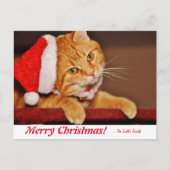 Speciaal kerstfeestmaal Oranje tablet Cat Post Briefkaart (Voorkant)